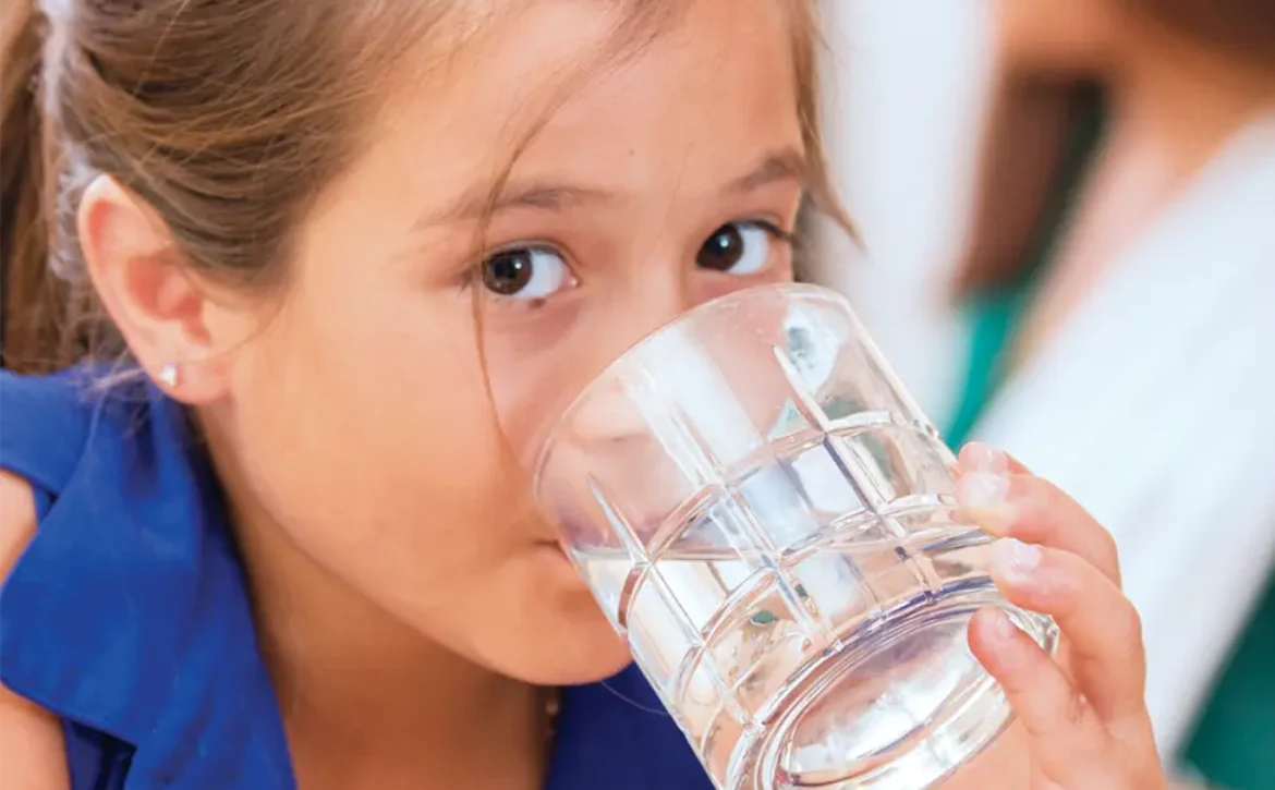 Rates could fund lead pipe replacement in critical states
