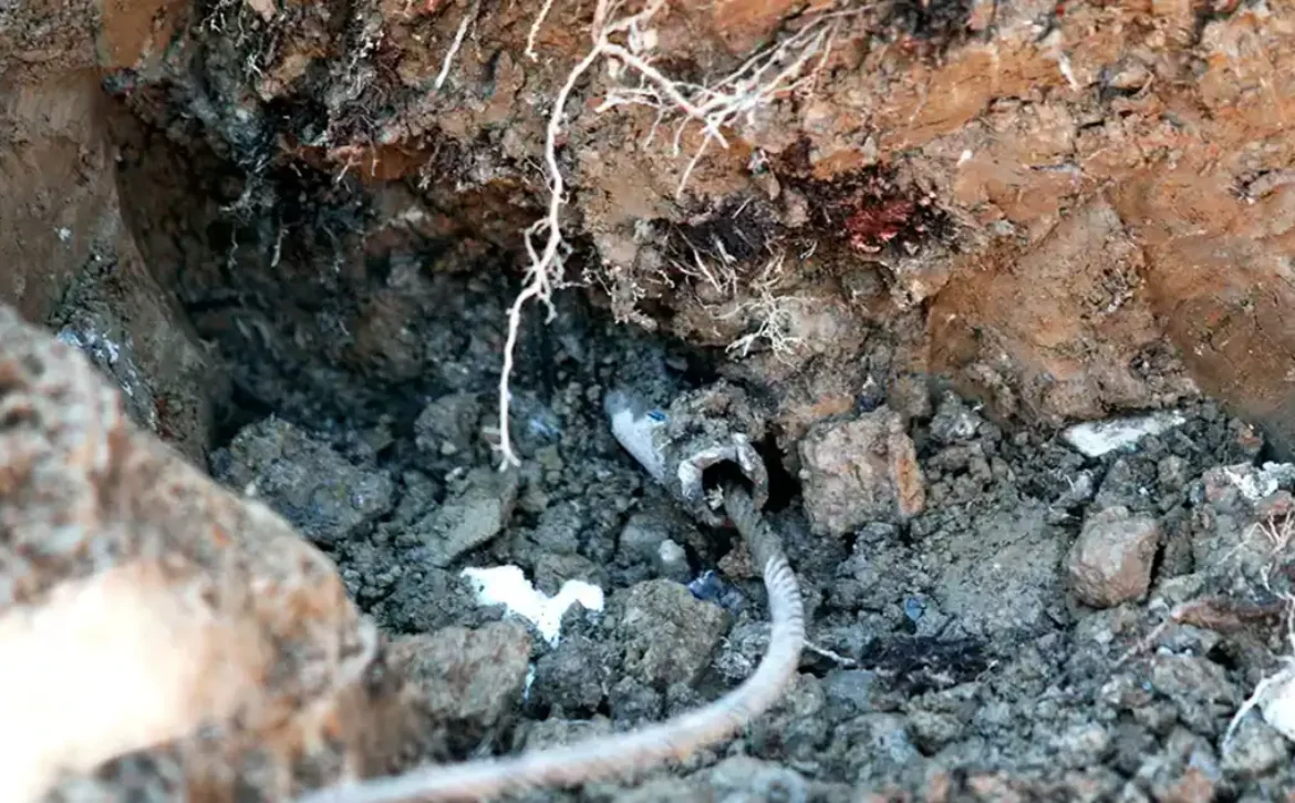 Lead pipe